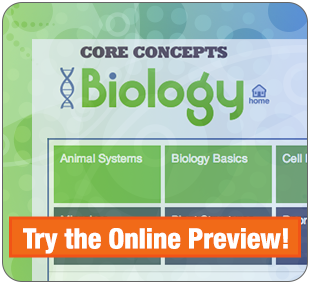 Try the Online Preview